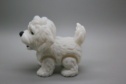 Puppy (Boy)