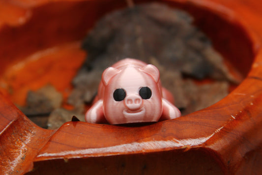 Baby Pigs