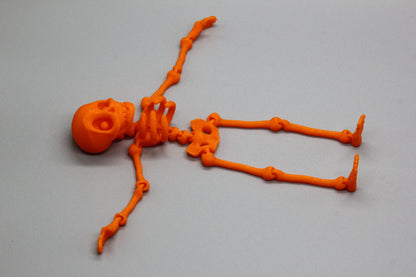 Flexi Skeletons